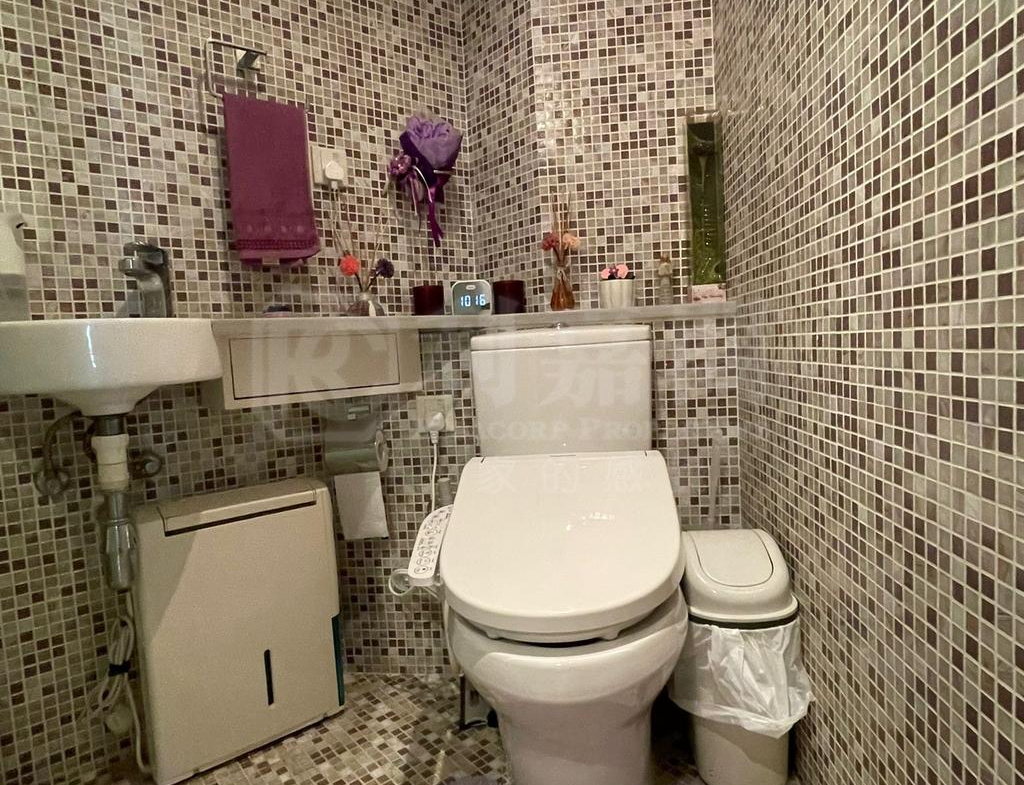 珀麗灣 2期 3座 - 28NTS – 香港北部都會區