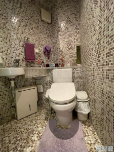 17591932972a94c024-9346-44ec-ad44-9600f0f11d11.jpeg 珀麗灣 2期 3座 - 28NTS – 香港北部都會區