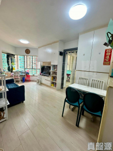 盈翠半島 2期 11座 - 28NTS – 香港北部都會區