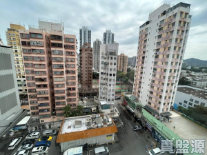 好旺洋樓 - 28NTS – 香港北部都會區