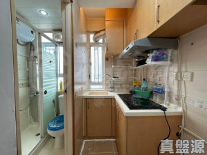 好旺洋樓 - 28NTS – 香港北部都會區