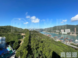 薈藍 - 28NTS – 香港北部都會區