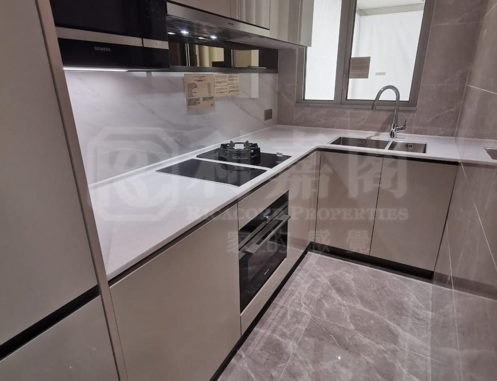 柏瓏 1A期 柏瓏 I 6座 - 28NTS – 香港北部都會區