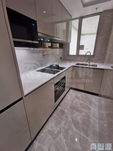 柏瓏 1A期 柏瓏 I 6座 - 28NTS – 香港北部都會區