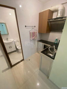 楓樹窩村 19號 - 28NTS – 香港北部都會區