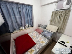好順泰大廈 B座 - 28NTS – 香港北部都會區