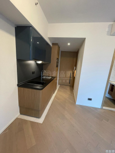 1759200848a86e8e1d-31f0-46e7-82f4-c0ce5955023a.jpeg 柏傲灣 1B座 - 28NTS – 香港北部都會區