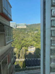 荃景花園 2期 8座 - 28NTS – 香港北部都會區