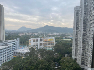 1759201335c9ad0efe-a170-4b08-99e1-1012ea40ce51.jpeg 嘉湖山莊 1期 樂湖居 3座 - 28NTS – 香港北部都會區