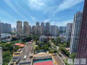 偉景花園 1座 - 28NTS – 香港北部都會區