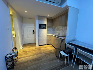 THE CARMEL 1座 - 28NTS – 香港北部都會區