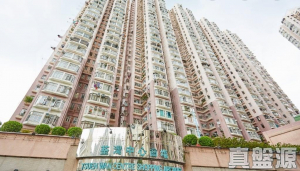 荃灣中心 上海樓 (7座) - 28NTS – 香港北部都會區