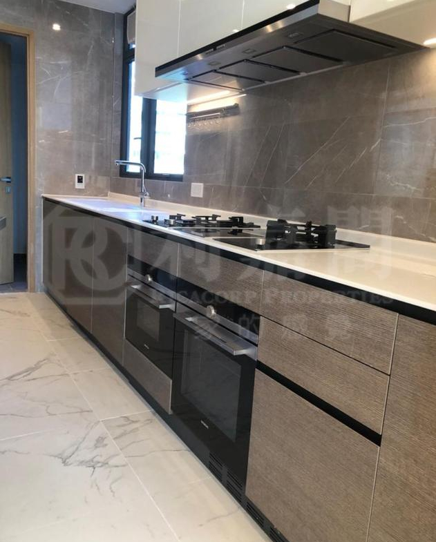 滿名山 名庭 10座 - 28NTS – 香港北部都會區