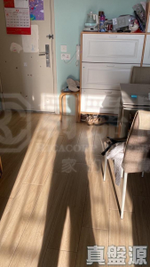 屏欣苑 B座 (屏彥閣) - 28NTS – 香港北部都會區