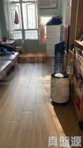 屏欣苑 B座 (屏彥閣) - 28NTS – 香港北部都會區