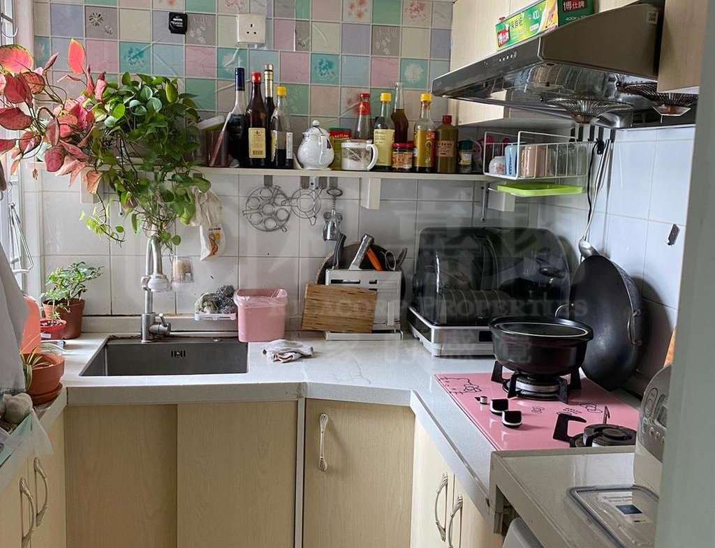 屏欣苑 B座 (屏彥閣) - 28NTS – 香港北部都會區