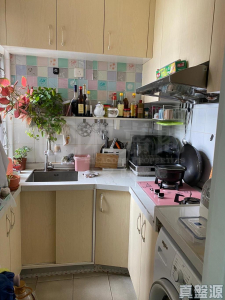 屏欣苑 B座 (屏彥閣) - 28NTS – 香港北部都會區