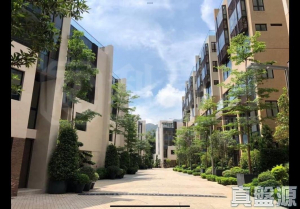 琨崙 藍彩鑽 洋房6 - 28NTS – 香港北部都會區