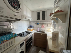 屏欣苑 B座 (屏彥閣) - 28NTS – 香港北部都會區