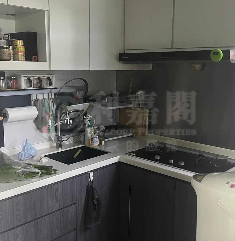 愉景新城 3期 9座 - 28NTS – 香港北部都會區