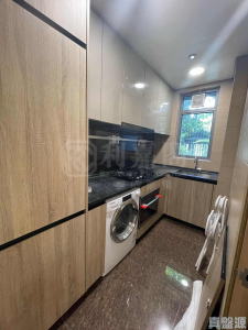 柏𣾷 - 28NTS – 香港北部都會區