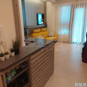 WETLAND SEASONS PARK 1期 17座 - 28NTS – 香港北部都會區