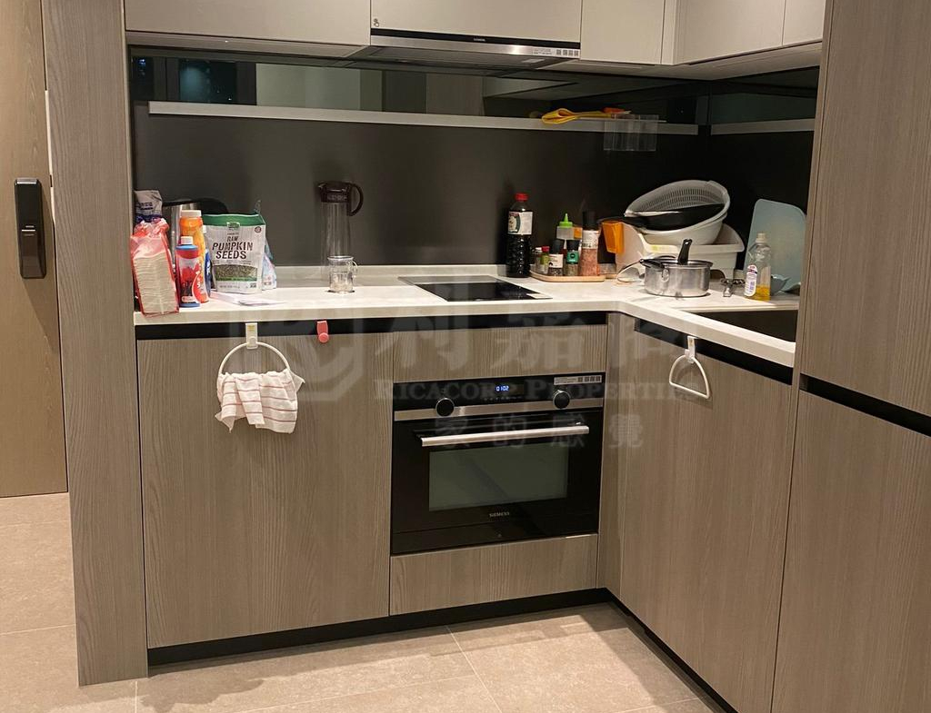 WETLAND SEASONS PARK 1期 22座 - 28NTS – 香港北部都會區