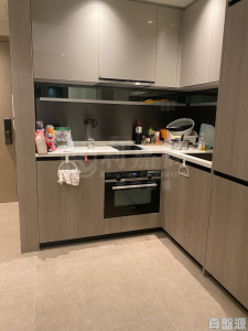 WETLAND SEASONS PARK 1期 22座 - 28NTS – 香港北部都會區