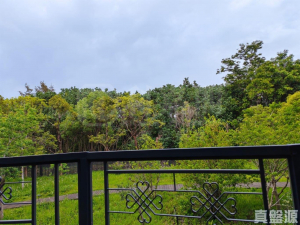WETLAND SEASONS PARK 1期 別墅8 - 28NTS – 香港北部都會區