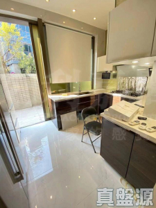 丹桂村路65-89號 富豪．悅庭 洋房 - 28NTS – 香港北部都會區