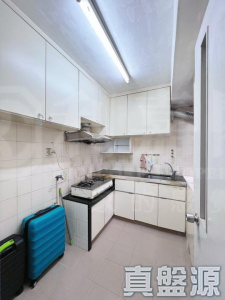 1759210504c7971f6a-be6e-4407-b6f3-7c37e60f7b48.jpeg 翠濤閣 3座 - 28NTS – 香港北部都會區