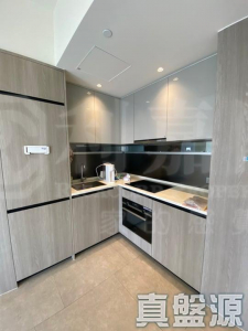 1759211746b368e5e1-3d24-4117-a972-44c865ae14b4.jpeg WETLAND SEASONS PARK 2期 5座 - 28NTS – 香港北部都會區