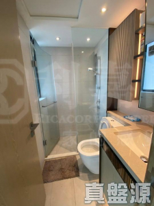 17592117494a0ed634-ca30-4d99-85ae-061fde6d640e.jpeg WETLAND SEASONS PARK 2期 5座 - 28NTS – 香港北部都會區