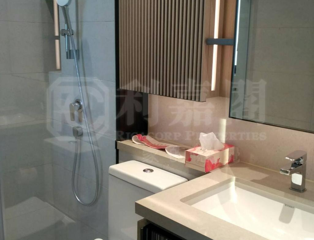 WETLAND SEASONS PARK 2期 5座 - 28NTS – 香港北部都會區