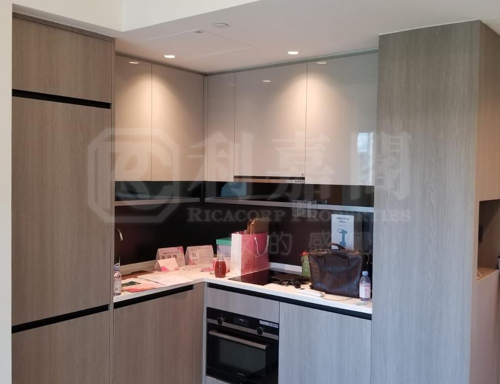 WETLAND SEASONS PARK 2期 19座 - 28NTS – 香港北部都會區