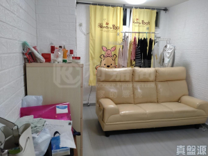 175921224501e40115-d4b2-4669-b0e6-15d99b2b791e.jpeg 青華苑 華碧閣 (C座) - 28NTS – 香港北部都會區