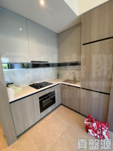 WETLAND SEASONS BAY 1期 2B座 - 28NTS – 香港北部都會區