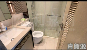 17592125588bbad5b4-2812-4b26-90e4-088e3856a0e3.jpeg WETLAND SEASONS PARK 3期 1座 - 28NTS – 香港北部都會區