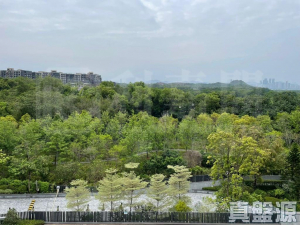 WETLAND SEASONS PARK 2期 15座 - 28NTS – 香港北部都會區