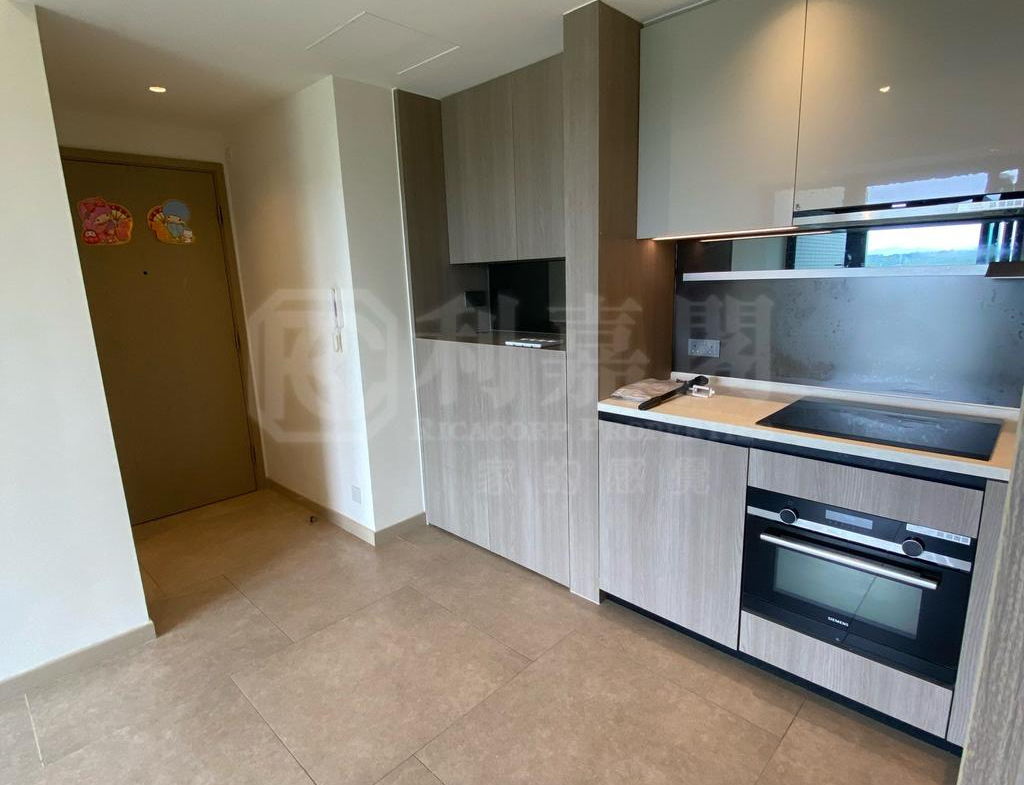 WETLAND SEASONS PARK 2期 15座 - 28NTS – 香港北部都會區