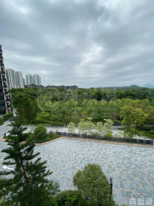 WETLAND SEASONS PARK 2期 15座 - 28NTS – 香港北部都會區