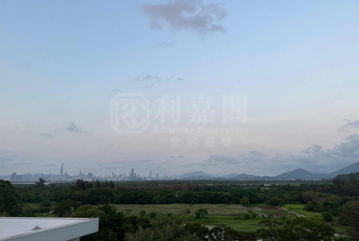 WETLAND SEASONS PARK 2期 別墅6 - 28NTS – 香港北部都會區