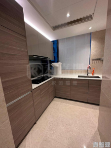 17592131375c969d3b-77d7-4f27-8f93-f0bec00c2390.jpeg WETLAND SEASONS PARK 2期 別墅6 - 28NTS – 香港北部都會區