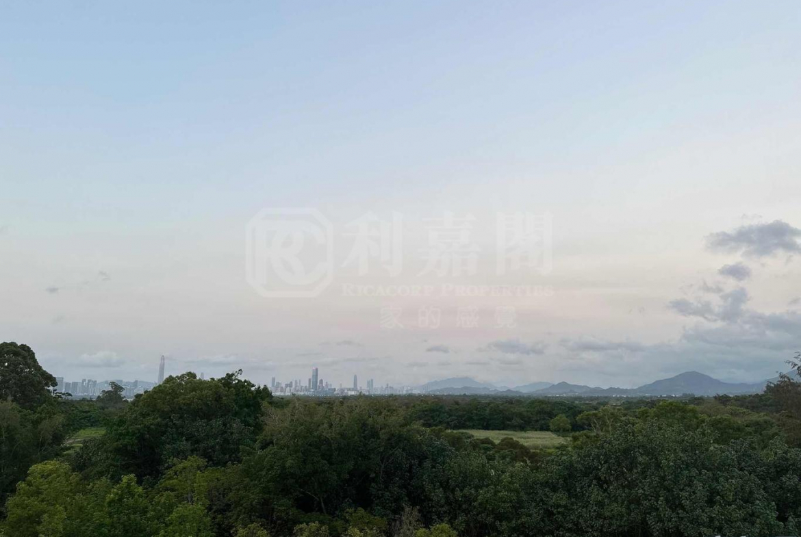 WETLAND SEASONS PARK 2期 別墅6 - 28NTS – 香港北部都會區