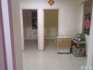 玉龍樓 - 28NTS – 香港北部都會區