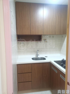 玉龍樓 - 28NTS – 香港北部都會區