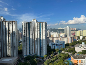 青華苑 華欣閣 (E座) - 28NTS – 香港北部都會區