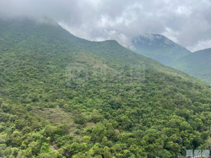 裕東苑 向東閣 (A座) - 28NTS – 香港北部都會區