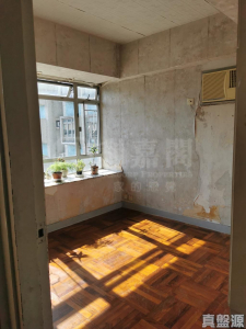 時代廣場 D座 - 28NTS – 香港北部都會區