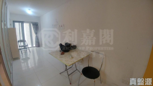 東涌山下 21號 - 28NTS – 香港北部都會區